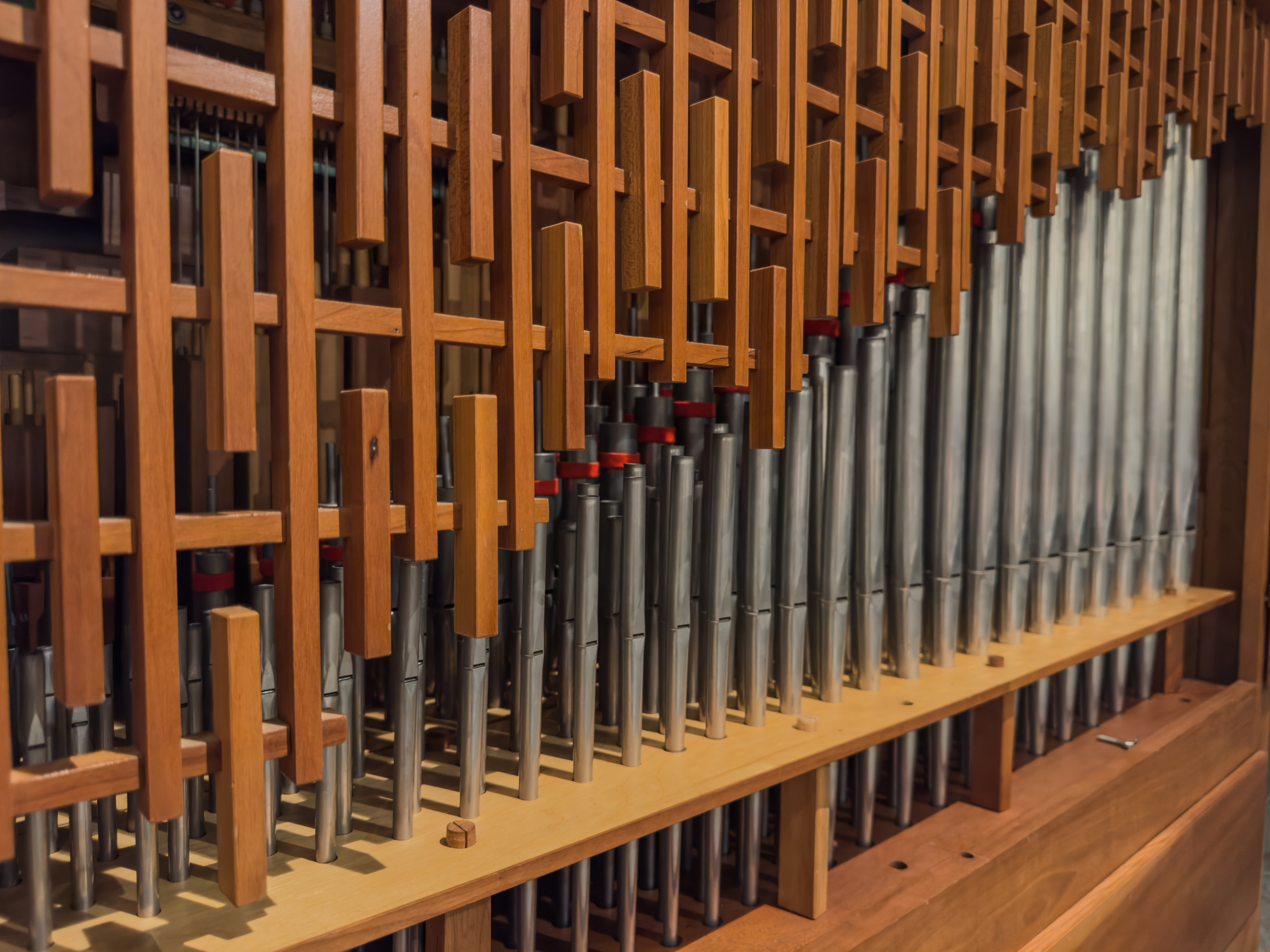 Organ in truck